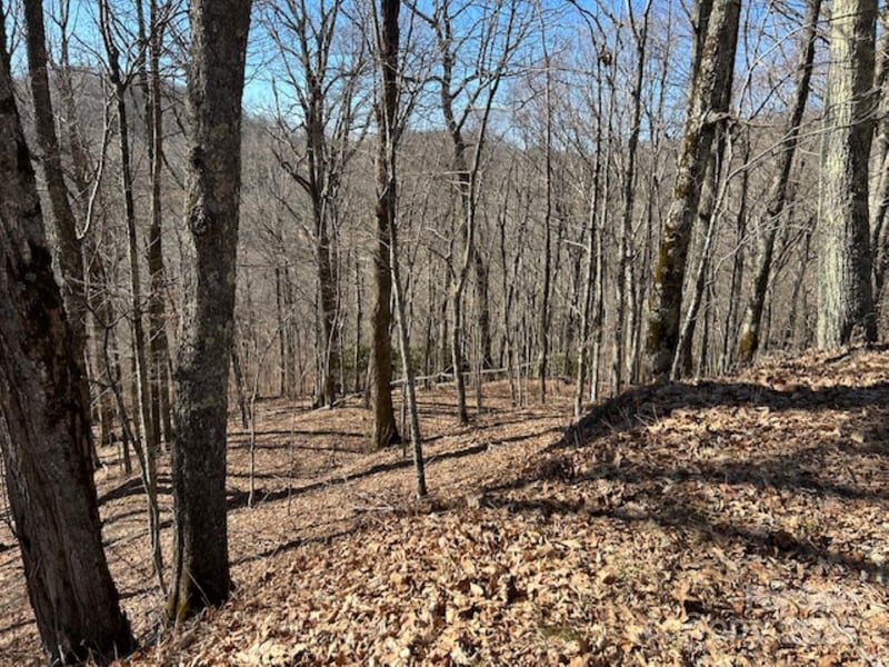 692 Oak Ridge Ln #692, Mars Hill, NC 28754