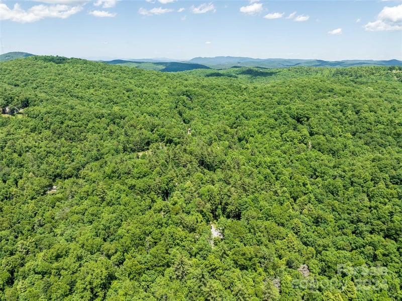 78 Smiling Fox Trl, Brevard, NC 28712
