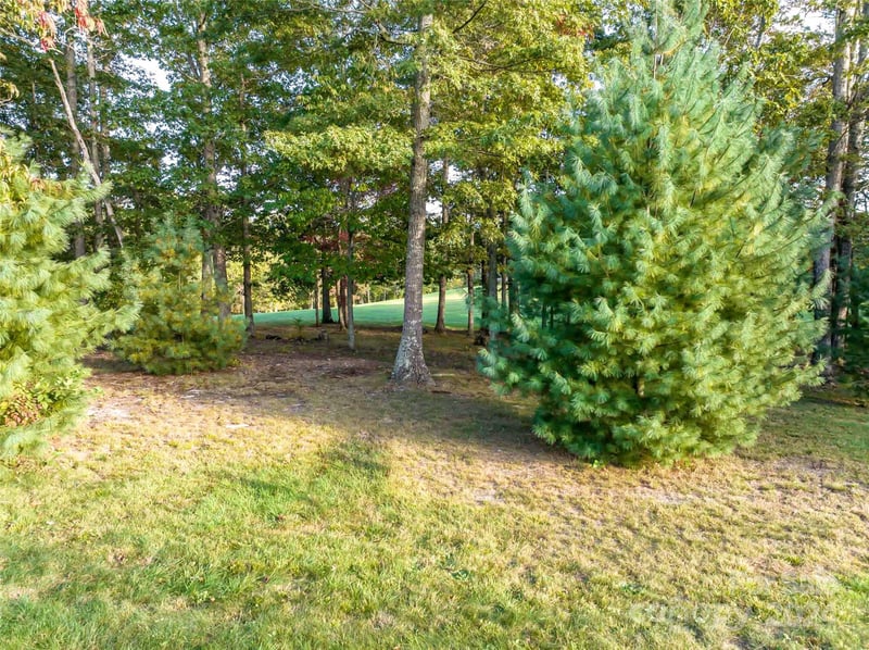 337 Chukar Way Lot 21, Fletcher, NC 28732