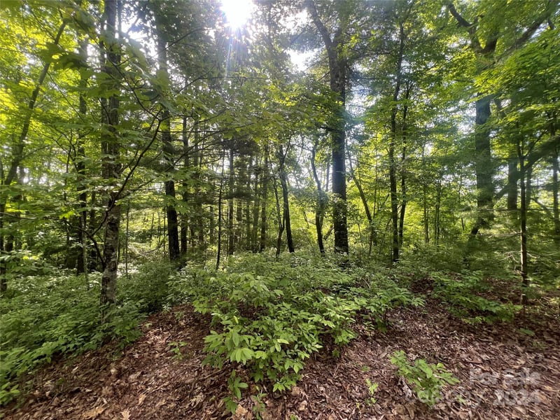 000 Laurel Thicket Ln, Brevard, NC 28712