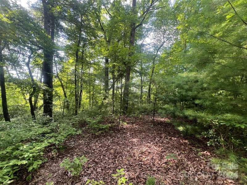 000 Laurel Thicket Ln, Brevard, NC 28712