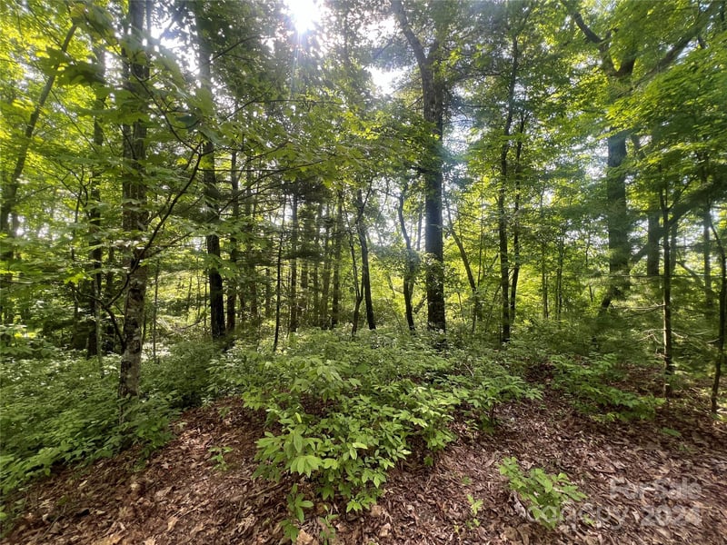 000 Laurel Thicket Ln, Brevard, NC 28712