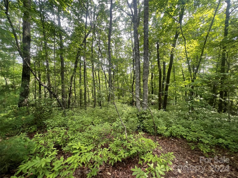 000 Laurel Thicket Ln, Brevard, NC 28712