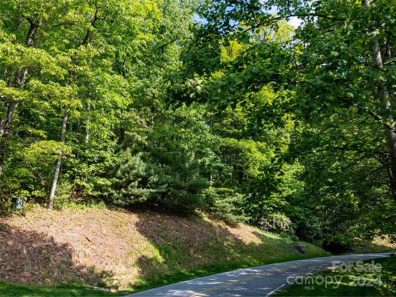 166 Chattooga Rn #293, Hendersonville, NC 28739