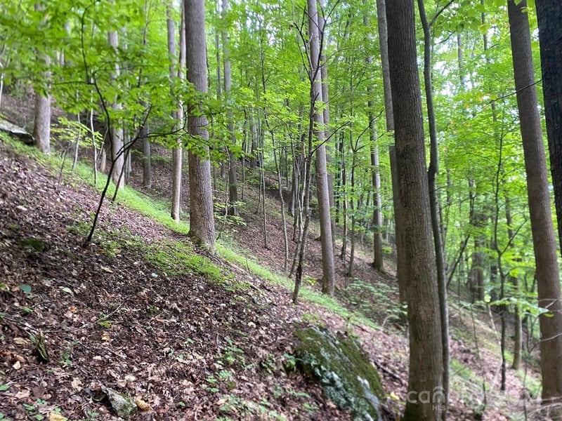 000 Byrd Creek Rd, Green Mountain, NC 28740