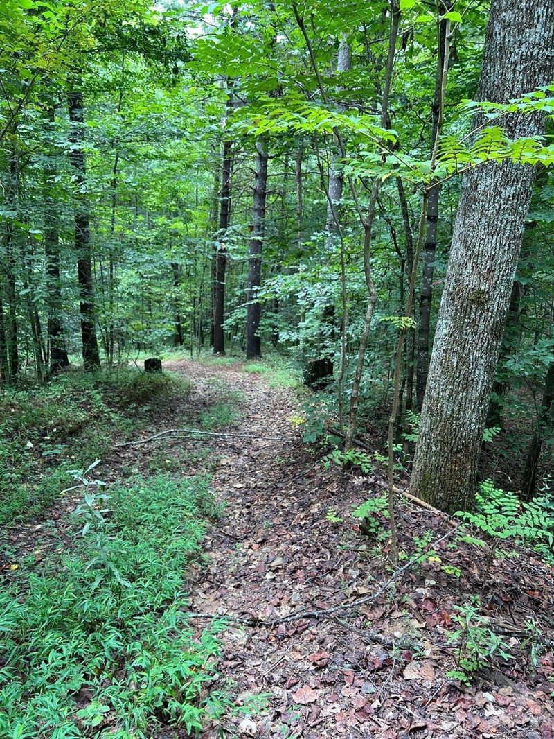 645 Tunnel Rd #157 & 158, Marion, NC 28752