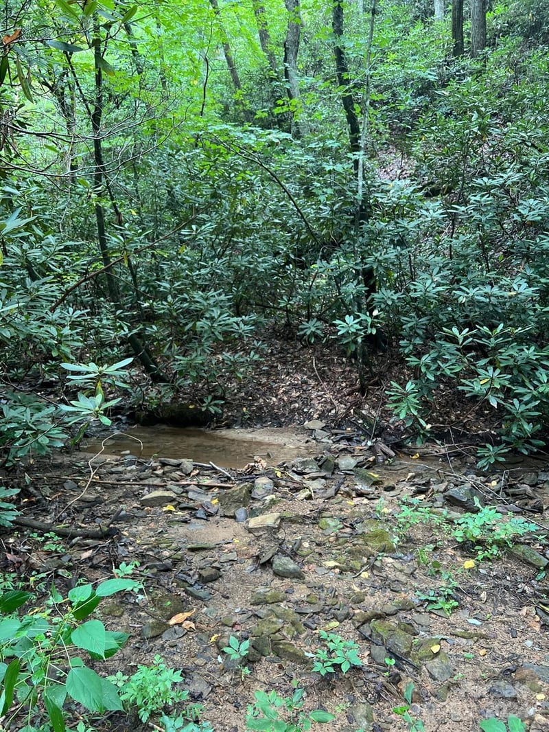 645 Tunnel Rd #157 & 158, Marion, NC 28752