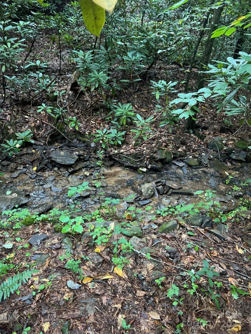 645 Tunnel Rd #157 & 158, Marion, NC 28752