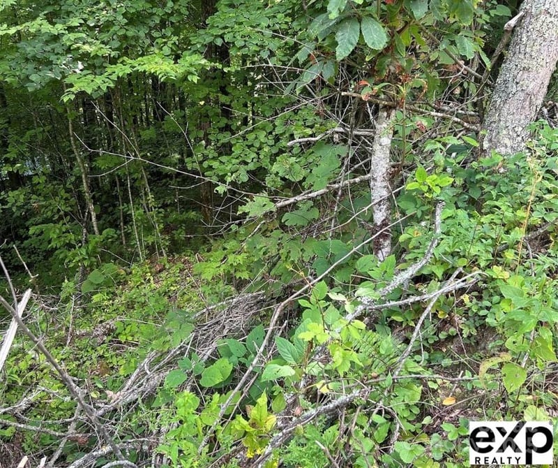 0000 Conley Dr, Maggie Valley, NC 28751