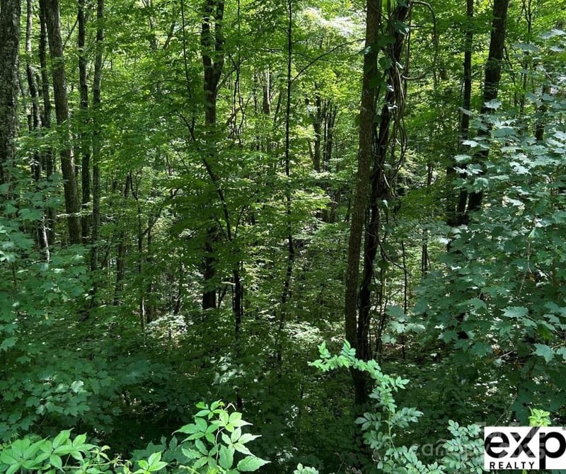 0000 Conley Dr, Maggie Valley, NC 28751