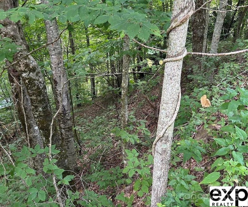 0000 Conley Dr, Maggie Valley, NC 28751