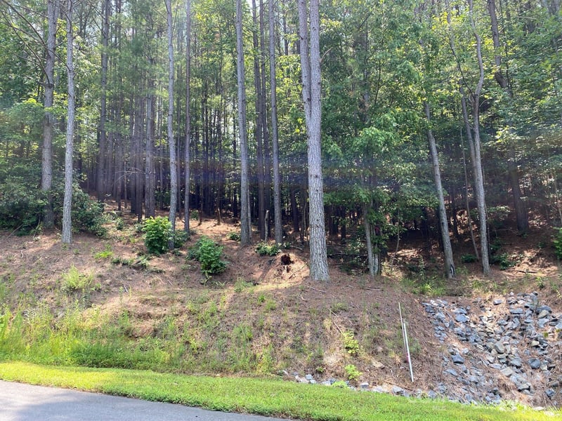 164 Settings Blvd #32, Valdese, NC 28690