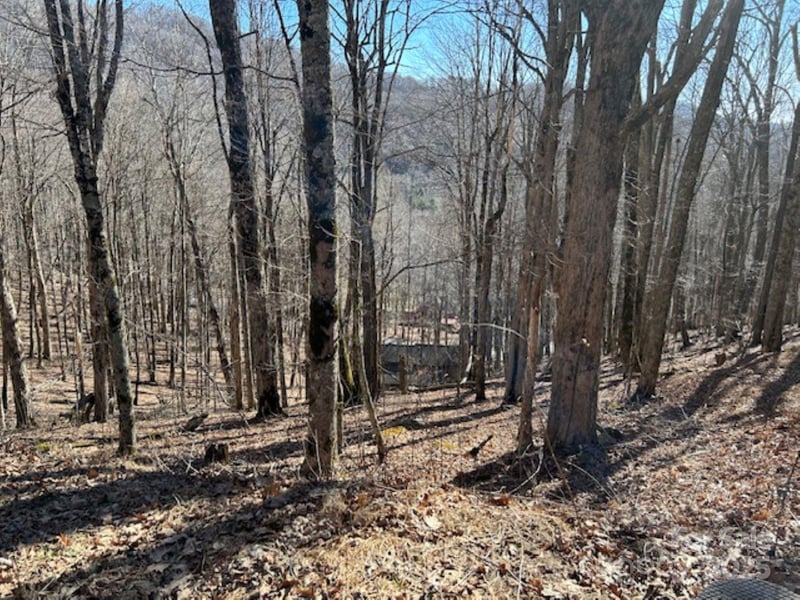 690 Oak Ridge Ln #690, Mars Hill, NC 28754