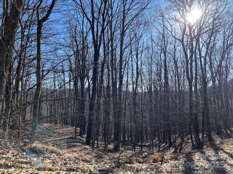 326 Hamlin Ln #57, Mars Hill, NC 28754