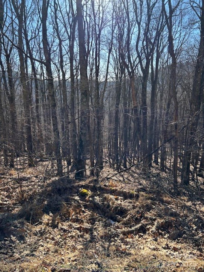 337 Hamlin Ln #96, Mars Hill, NC 28754