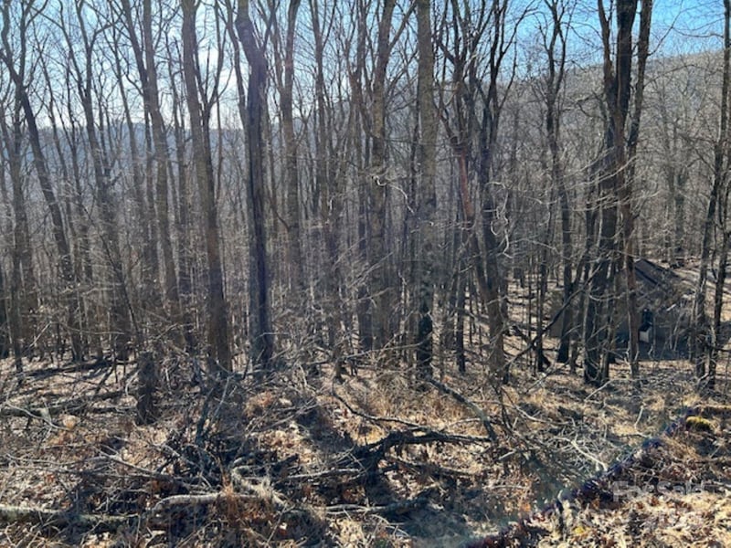 337 Hamlin Ln #96, Mars Hill, NC 28754