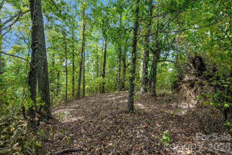 1380 Seven Glens Dr, Weaverville, NC 28787