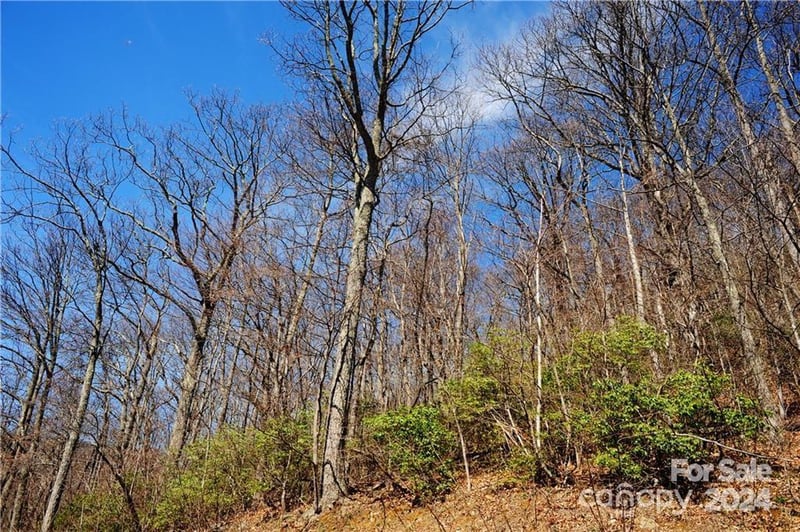 35 Wedgewood Ter #1104, Black Mountain, NC 28711