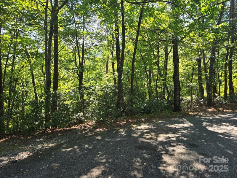Lot 152 Sullivan Ln, Lake Lure, NC 28746