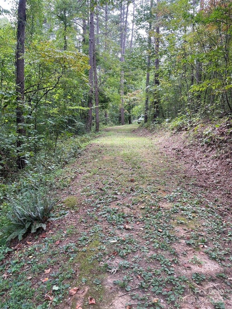 99999 Monticello Rd, Weaverville, NC 28787