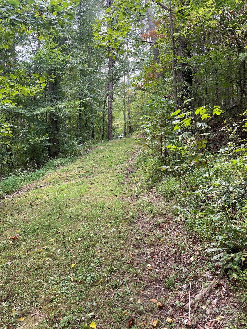 99999 Monticello Rd, Weaverville, NC 28787