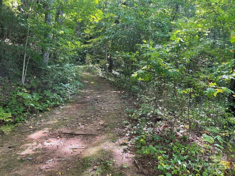 Lt 176 Reach Rd #176, Sylva, NC 28779