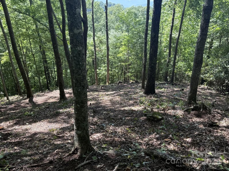 Lt 176 Reach Rd #176, Sylva, NC 28779