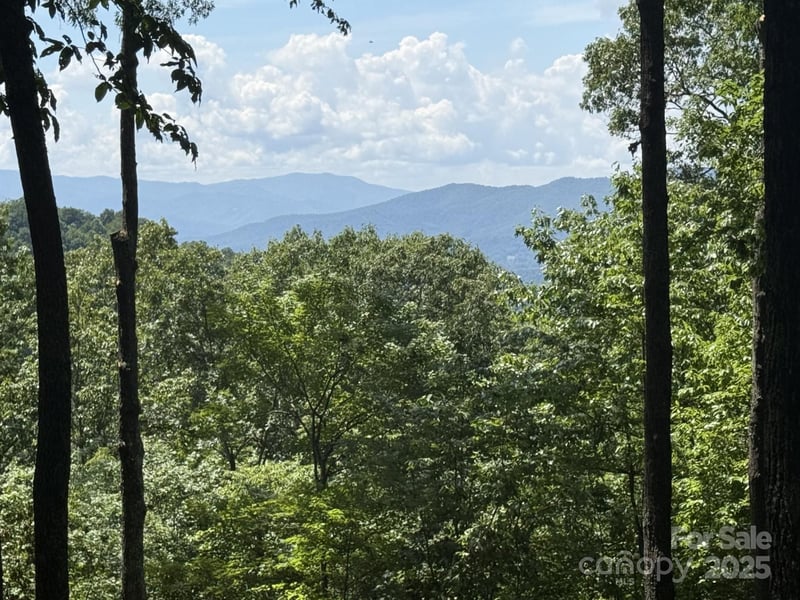 Lt 176 Reach Rd #176, Sylva, NC 28779