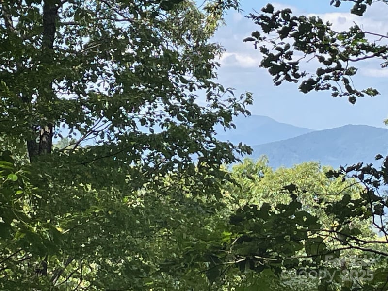 Lt 176 Reach Rd #176, Sylva, NC 28779