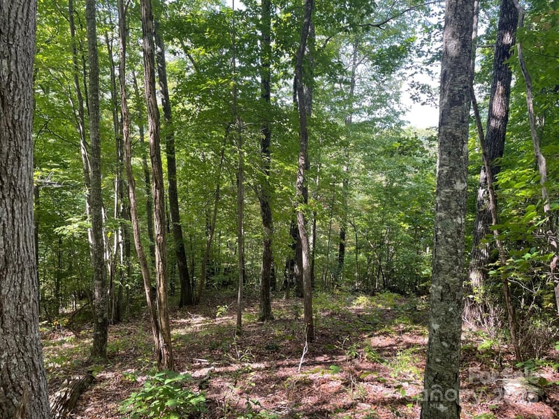 Lt 176 Reach Rd #176, Sylva, NC 28779