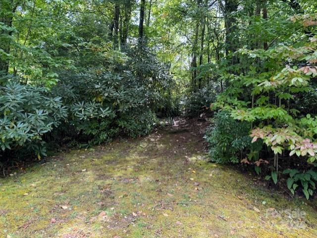 000 Gateway Dr #10, Hendersonville, NC 28739
