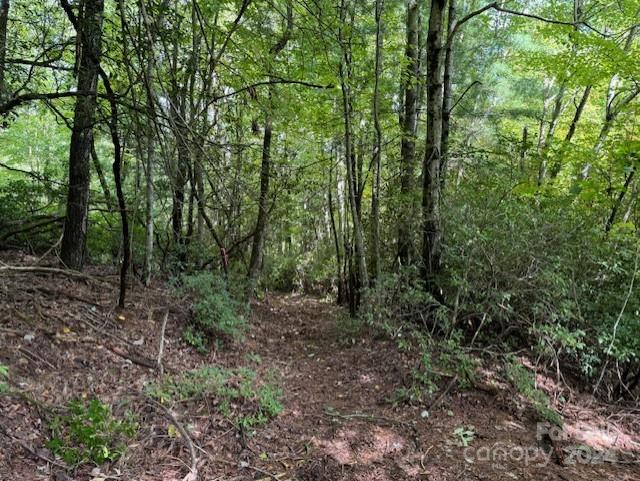 000 Gateway Dr #10, Hendersonville, NC 28739