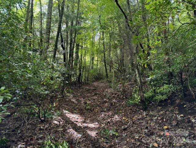 000 Gateway Dr #10, Hendersonville, NC 28739