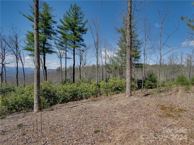8B Reserve Rd, Pisgah Forest, NC 28768