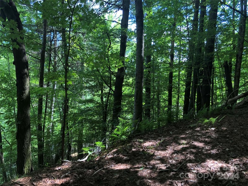 000 N Blue Ridge Pw #167, Jefferson, NC 28640