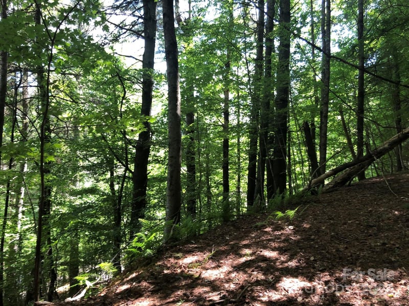 000 N Blue Ridge Pw #167, Jefferson, NC 28640
