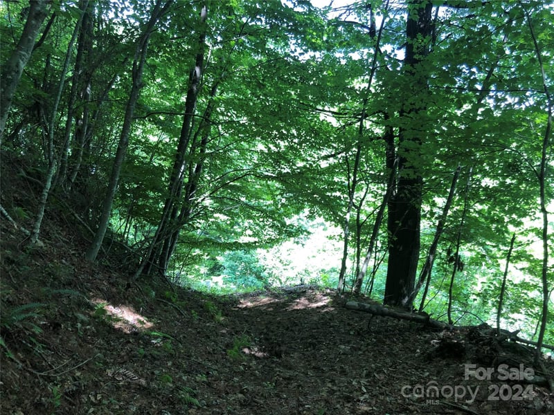 000 N Blue Ridge Pw #167, Jefferson, NC 28640