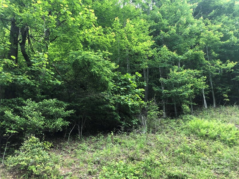 000 N Blue Ridge Pw #167, Jefferson, NC 28640