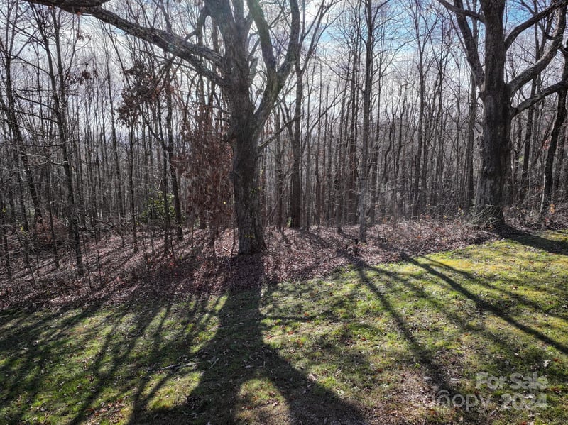 99999 Dancing Bear Dr #53, Hendersonville, NC 28792