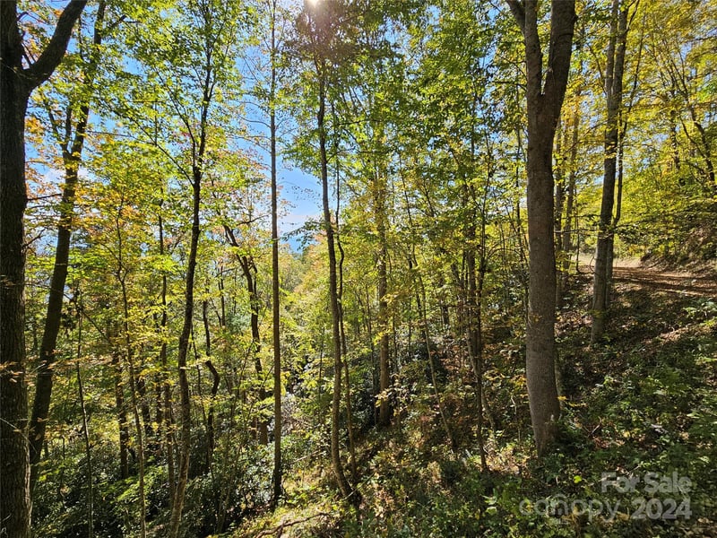 9999 Barn Cove Rd, Clyde, NC 28721