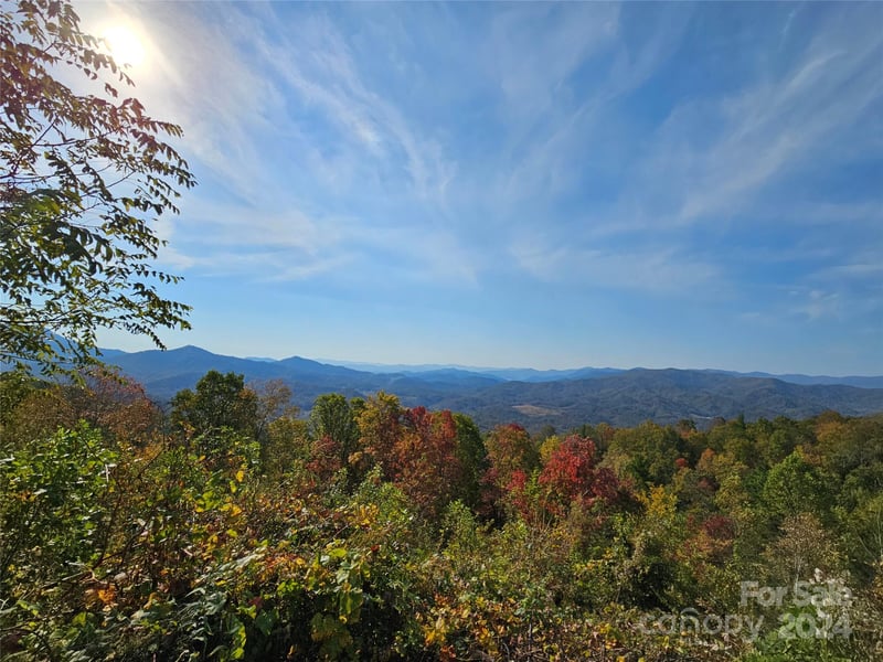 9999 Barn Cove Rd, Clyde, NC 28721