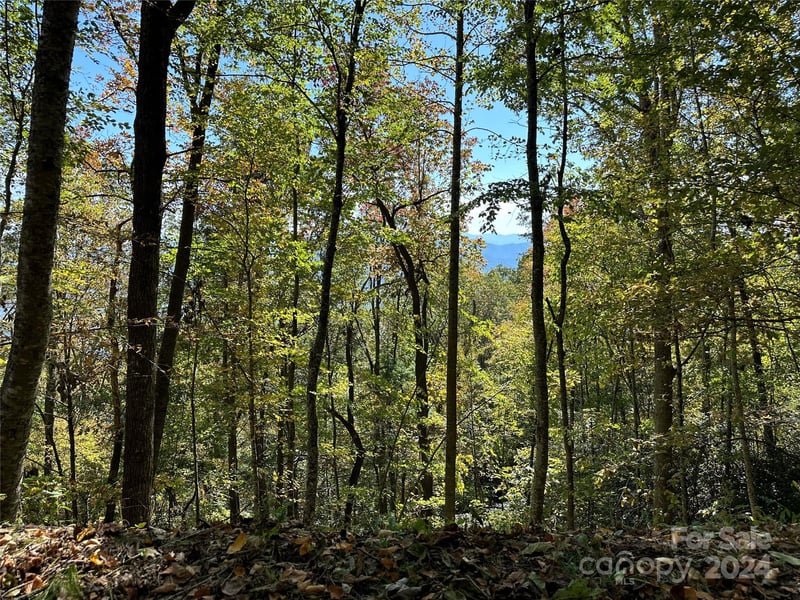9999 Barn Cove Rd, Clyde, NC 28721