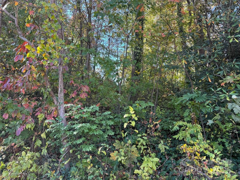 00 Upper Ridgewood Blvd, Hendersonville, NC 28739
