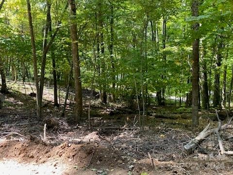 Lot G42 Odalu Trl #G42, Maggie Valley, NC 28751