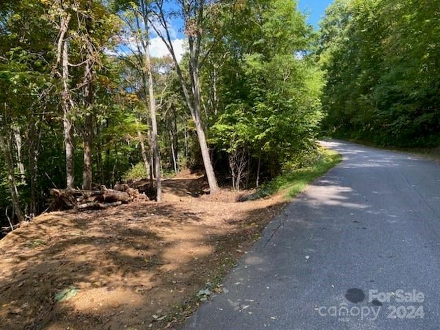 Lot G42 Odalu Trl #G42, Maggie Valley, NC 28751