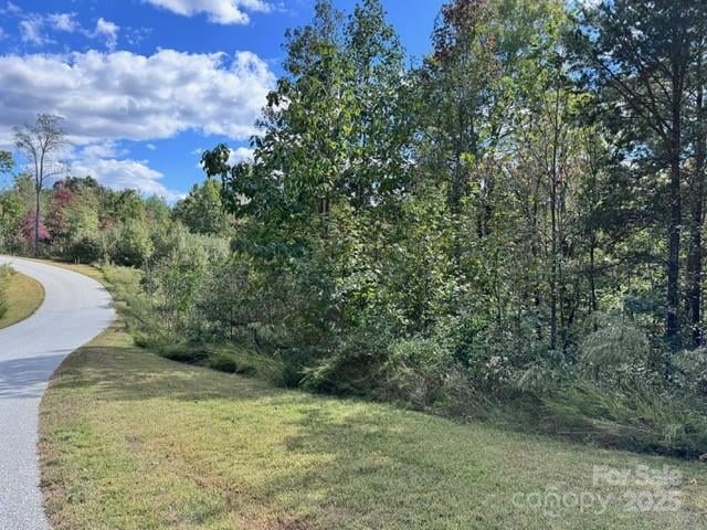 VL Ridge Point Rd #9, Nebo, NC 28761