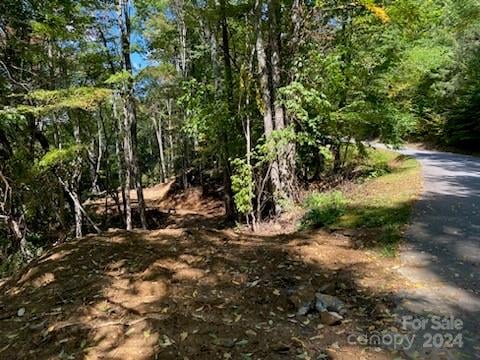 Lot G-43 Odalu Trl #G43, Maggie Valley, NC 28751