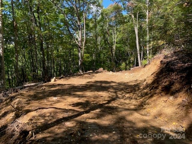 Lot G-43 Odalu Trl #G43, Maggie Valley, NC 28751