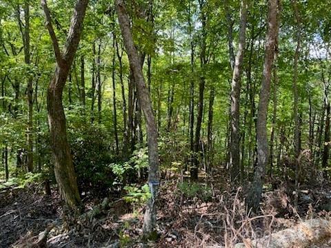 Lot G-43 Odalu Trl #G43, Maggie Valley, NC 28751