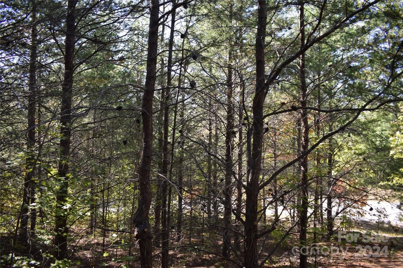 Holland Dr #3, Columbus, NC 28722